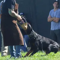 processed/ee5d3821-483e-4483-9005-d60d3a2467b4/facility/33a3347a-3995-4c91-adc8-628b08c32941