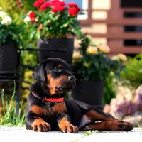 processed/ee5d3821-483e-4483-9005-d60d3a2467b4/facility/f3f74379-2e52-406a-bcd7-8a0cd10e1c79