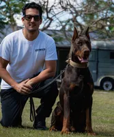 AKC Registered Full European Dobermann Pinscher - Male, a male Doberman Pinscher for sale in Miami, FL – 9 of 10