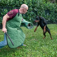 AKC Registered Full European Doberman Pinscher - Female, a  Doberman Pinscher for sale in Miami, FL – 5 of 10
