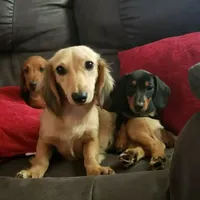 processed/ee5f5a28-96c5-4104-9a57-a986db47a8fa/facility/2678010a-e9f1-4ea0-ab33-962d6ba5a208