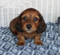 processed/ee5f5a28-96c5-4104-9a57-a986db47a8fa/listing/2af59d9f-8640-4fb4-9726-53046e51f9b4/18565f4e-6421-4846-b37c-d101acf5b3d8