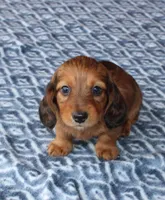 processed/ee5f5a28-96c5-4104-9a57-a986db47a8fa/listing/2af59d9f-8640-4fb4-9726-53046e51f9b4/29765cd4-2d50-4bb9-9d10-95529c3dc64d