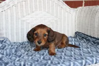 processed/ee5f5a28-96c5-4104-9a57-a986db47a8fa/listing/2af59d9f-8640-4fb4-9726-53046e51f9b4/3c21e7c3-95db-4d8f-95da-689da8c1c973