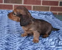 processed/ee5f5a28-96c5-4104-9a57-a986db47a8fa/listing/2af59d9f-8640-4fb4-9726-53046e51f9b4/69140274-ea27-4313-8158-ff788a6bc237