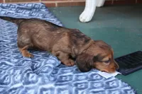 processed/ee5f5a28-96c5-4104-9a57-a986db47a8fa/listing/2af59d9f-8640-4fb4-9726-53046e51f9b4/b5543f59-ee47-4351-8626-61dfa8c255a7