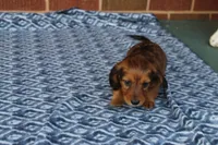 processed/ee5f5a28-96c5-4104-9a57-a986db47a8fa/listing/2af59d9f-8640-4fb4-9726-53046e51f9b4/b7a6a290-5091-4d37-b0d2-f1a51dc69e18