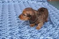 processed/ee5f5a28-96c5-4104-9a57-a986db47a8fa/listing/2af59d9f-8640-4fb4-9726-53046e51f9b4/e92603e1-bf35-43d7-8c2a-f434934894a6