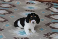 processed/ee5f5a28-96c5-4104-9a57-a986db47a8fa/listing/7f056d75-fcef-4b3b-83fe-190cea1231f7/0e2b85bf-24a7-4cae-a8fb-0d4a593a351f