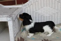 processed/ee5f5a28-96c5-4104-9a57-a986db47a8fa/listing/7f056d75-fcef-4b3b-83fe-190cea1231f7/34c50142-df06-4aff-803c-ad624e37dfbf