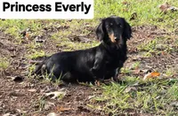 processed/ee5f5a28-96c5-4104-9a57-a986db47a8fa/listing/7f056d75-fcef-4b3b-83fe-190cea1231f7/36e50c31-7b01-4581-a2f8-0c4f0f75aac7