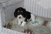 processed/ee5f5a28-96c5-4104-9a57-a986db47a8fa/listing/7f056d75-fcef-4b3b-83fe-190cea1231f7/8b87d61f-f0f6-4bc3-b1ae-b40f03a82adf