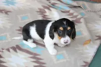 processed/ee5f5a28-96c5-4104-9a57-a986db47a8fa/listing/7f056d75-fcef-4b3b-83fe-190cea1231f7/ad5c50a5-c824-45d3-8277-aa2c578e4b37