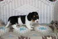 processed/ee5f5a28-96c5-4104-9a57-a986db47a8fa/listing/7f056d75-fcef-4b3b-83fe-190cea1231f7/cc2ceb6d-d5e0-49be-8829-1bfd5b8a4cd4