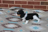 processed/ee5f5a28-96c5-4104-9a57-a986db47a8fa/listing/7f056d75-fcef-4b3b-83fe-190cea1231f7/cd615293-d2ca-4520-b653-8cf510f48f68