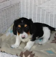 processed/ee5f5a28-96c5-4104-9a57-a986db47a8fa/listing/7f056d75-fcef-4b3b-83fe-190cea1231f7/f1bbd916-ee9e-4fc0-b12c-a7e98e0de0b5