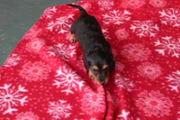 processed/ee5f5a28-96c5-4104-9a57-a986db47a8fa/listing/c0c4bb61-7ade-407a-ae54-d56c510ca823/205680bd-1817-4ac0-822b-84fa460e4f7b