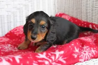 processed/ee5f5a28-96c5-4104-9a57-a986db47a8fa/listing/c0c4bb61-7ade-407a-ae54-d56c510ca823/4c858252-9dc3-473b-971a-85cc3d8c889f