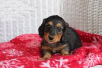 processed/ee5f5a28-96c5-4104-9a57-a986db47a8fa/listing/c0c4bb61-7ade-407a-ae54-d56c510ca823/50b4af8e-5390-44ef-8cfd-7ffbfe847602