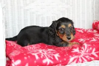 processed/ee5f5a28-96c5-4104-9a57-a986db47a8fa/listing/c0c4bb61-7ade-407a-ae54-d56c510ca823/7d6c1ad4-8578-478a-9322-8903de21e3e0