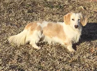 processed/ee5f5a28-96c5-4104-9a57-a986db47a8fa/listing/c0c4bb61-7ade-407a-ae54-d56c510ca823/a887aa47-b4ef-4b6f-b6e2-c483aa505c81