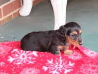 processed/ee5f5a28-96c5-4104-9a57-a986db47a8fa/listing/c0c4bb61-7ade-407a-ae54-d56c510ca823/c0a16b35-6777-442c-921d-88dbc1c91370