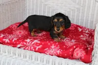 processed/ee5f5a28-96c5-4104-9a57-a986db47a8fa/listing/c0c4bb61-7ade-407a-ae54-d56c510ca823/c7c9da45-2e66-4c56-b569-bd54fbbaa6fe