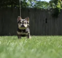 processed/ee63209b-2d13-4779-94b9-83176eea4434/facility/077bf469-b3e8-4618-8142-8a3d746353dd