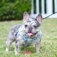 processed/ee63209b-2d13-4779-94b9-83176eea4434/facility/18f8ab9c-61ea-410f-91e0-198392a1e9b2