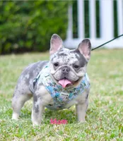 processed/ee63209b-2d13-4779-94b9-83176eea4434/facility/18f8ab9c-61ea-410f-91e0-198392a1e9b2