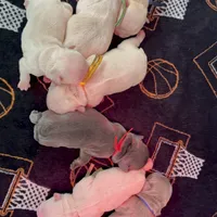 processed/ee63209b-2d13-4779-94b9-83176eea4434/facility/37f7c2f8-40eb-4b67-8c78-421cf702c9e0