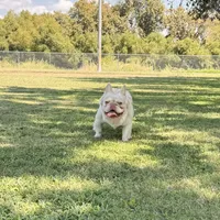 processed/ee63209b-2d13-4779-94b9-83176eea4434/facility/3fed5786-75c7-4ea7-9980-3d46307bf147