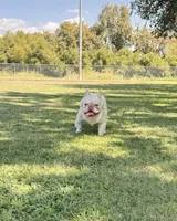 processed/ee63209b-2d13-4779-94b9-83176eea4434/facility/3fed5786-75c7-4ea7-9980-3d46307bf147