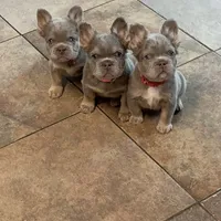 processed/ee63209b-2d13-4779-94b9-83176eea4434/facility/5968f4e7-7fae-4caa-8fa0-aea39bff03d3