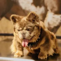 processed/ee63209b-2d13-4779-94b9-83176eea4434/facility/9cec6e73-405c-4981-aa51-7f8f3f702356