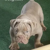 processed/ee6982ea-9ee8-490d-965d-345e7c68481f/facility/1b1d6392-9b77-49a4-a5bd-522a53631625