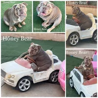 processed/ee6982ea-9ee8-490d-965d-345e7c68481f/facility/24743c38-cf19-42f0-9e3b-6440d41c2e21