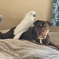 processed/ee6982ea-9ee8-490d-965d-345e7c68481f/facility/2bc02444-2948-448c-a7aa-2d4b089f3199