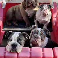 processed/ee6982ea-9ee8-490d-965d-345e7c68481f/facility/3f87aab0-b58d-40d4-826d-8dfa31bb4590