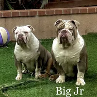 processed/ee6982ea-9ee8-490d-965d-345e7c68481f/facility/4e36a082-045a-491f-9a75-c482b5d9c691