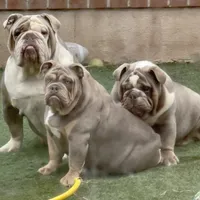 processed/ee6982ea-9ee8-490d-965d-345e7c68481f/facility/9e063806-5e8f-4202-b4f1-1ce16952efb0