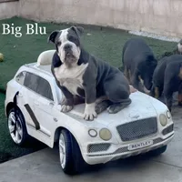 processed/ee6982ea-9ee8-490d-965d-345e7c68481f/facility/a95bc791-3eab-4cb4-9fba-4e0ddd3241dc