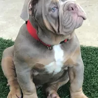 processed/ee6982ea-9ee8-490d-965d-345e7c68481f/facility/cbf40164-dccd-48c3-8925-d75f43980fd4