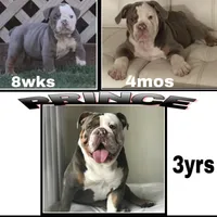 processed/ee6982ea-9ee8-490d-965d-345e7c68481f/facility/d1f8ff06-b1a0-4068-9296-f53665bad614