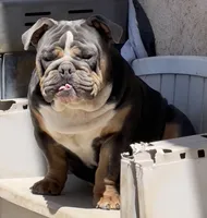 processed/ee6982ea-9ee8-490d-965d-345e7c68481f/listing/f4fd14d2-f47b-4c7d-b03f-3e2383c7e92c/16a7f3e2-89a0-4dac-ad52-1ab0fff7bc5c