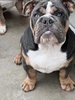 processed/ee6982ea-9ee8-490d-965d-345e7c68481f/listing/f4fd14d2-f47b-4c7d-b03f-3e2383c7e92c/1ca055b9-b3b4-4272-b6db-4767bf25b1f5