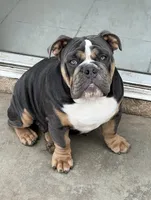 processed/ee6982ea-9ee8-490d-965d-345e7c68481f/listing/f4fd14d2-f47b-4c7d-b03f-3e2383c7e92c/7a6dcdc2-121e-412a-abe6-2241e90c2358