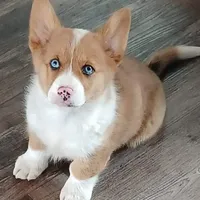 processed/ee71e331-70ba-4121-914a-f342a7b2df2e/facility/02f20a3c-ba91-4bff-b5cd-69c227b0318c