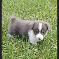 processed/ee71e331-70ba-4121-914a-f342a7b2df2e/facility/0d10f011-fe55-4622-8567-19b8cfeb8a08