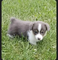 processed/ee71e331-70ba-4121-914a-f342a7b2df2e/facility/0d10f011-fe55-4622-8567-19b8cfeb8a08